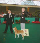 Japan Kennel Klubs spesialutstilling for japanske raser i Amsterdam 2002